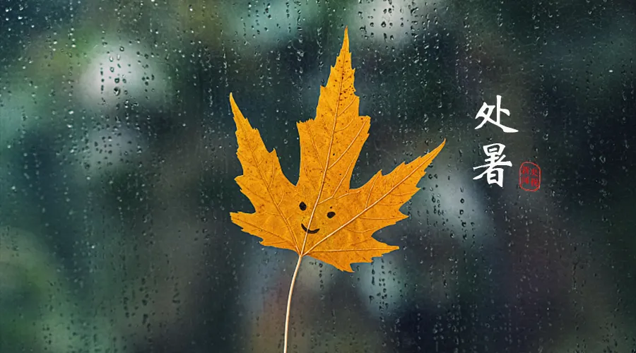 今日處暑，暑去涼來